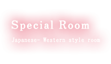 Special Room Japanese-Western style room